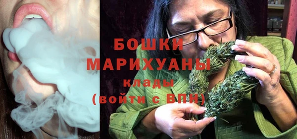 гидра Вязники