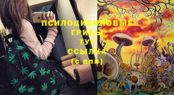 гидра Вязники